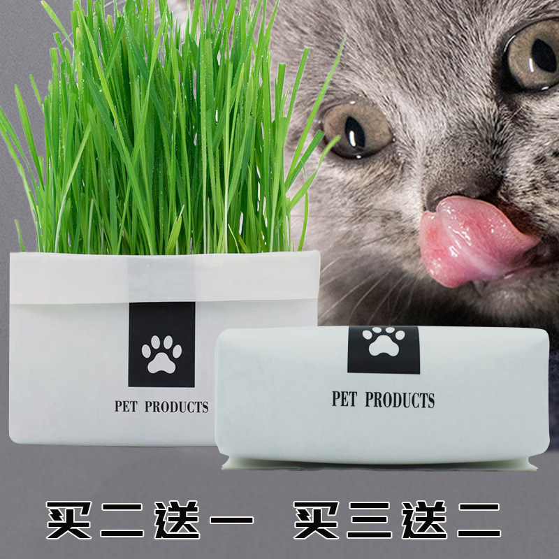 网红无土猫草水培种子已种好免种植套装化毛吐毛球猫薄荷懒人猫草,宠物/宠物食品及用品,猫零食罐,淘宝优惠券,粉丝福利购,淘宝优惠卷