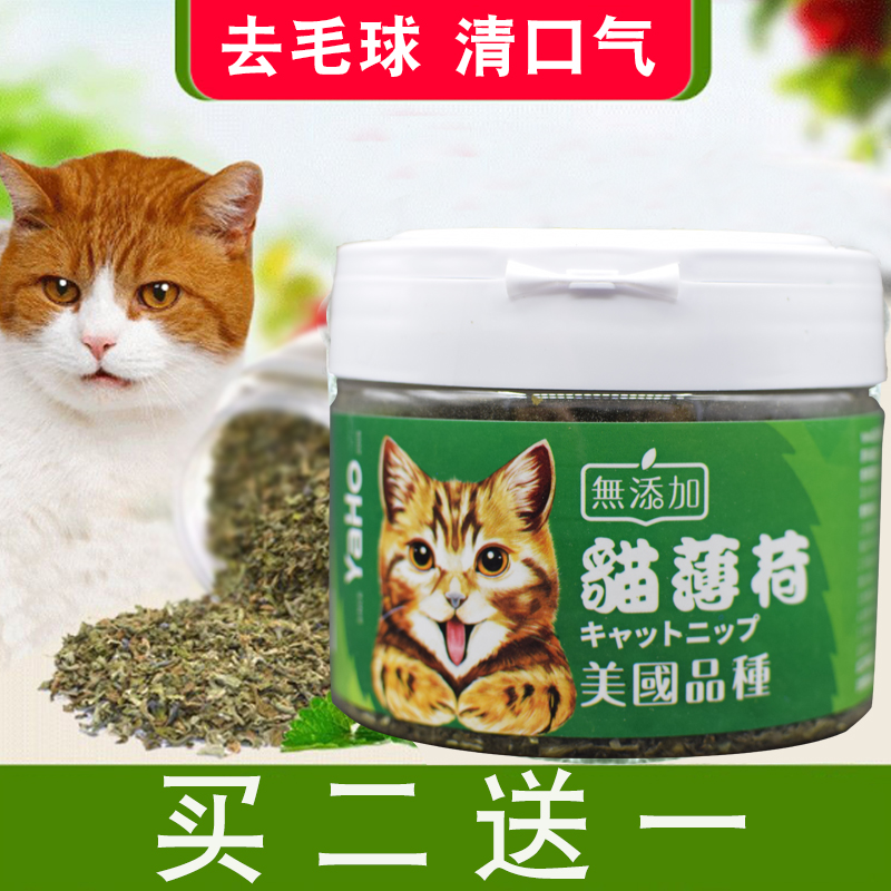 木天蓼亚禾250ml助消化猫薄荷粉