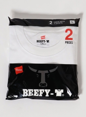【6折】HANES BEEFY-T 纯棉打底衫T恤 两件装 男款 25SS 1796