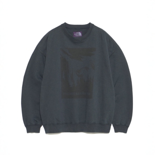 26春夏 TNF 紫标 Garment Dyed Field 提花抓绒卫衣 N26SH023