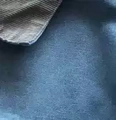 Blue-Gray Collar