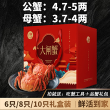 特大现货大闸蟹鲜活螃蟹礼盒团购官方旗舰公蟹4.7-5两母蟹3.7-4两
