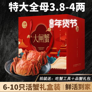 年货活蟹特大全母大闸蟹礼盒鲜活螃蟹现货中秋国庆送礼官方旗舰店