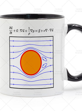 Navier Stokes engineer mug 工程师 斯托克斯 陶瓷马克杯