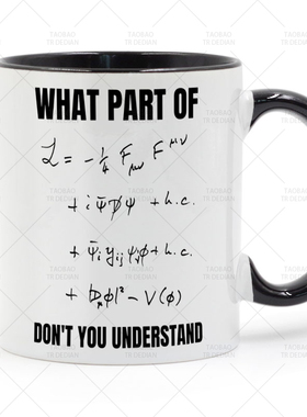 Standard model of physics 标准模型拉格朗日量 陶瓷马克杯水杯