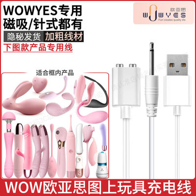 wowyes欧亚思图上款专用充电线