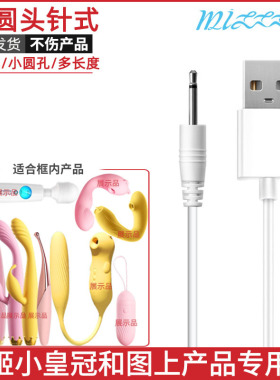 适用于MizzZee/谜姬小皇冠点潮笔DC针式充电线直插式细针数据线器