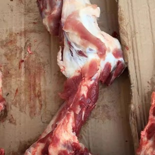 农家乡下土猪肉猪棒骨 筒骨 大骨 汤骨 散养猪骨新鲜猪肉农村家猪
