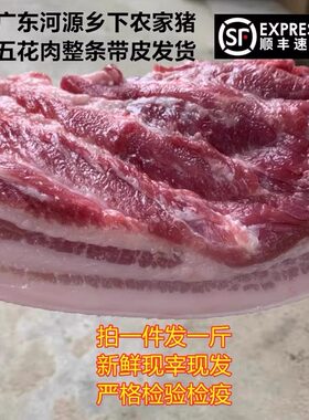 五花肉家猪肉五花腩1斤