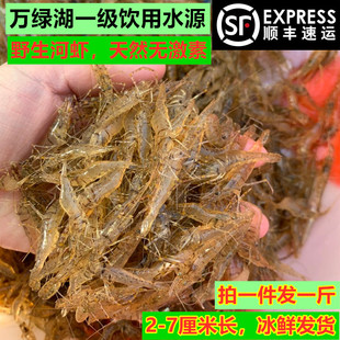 河源万绿湖河虾淡水小虾新鲜活速冻草虾明虾青虾白虾顺丰包邮