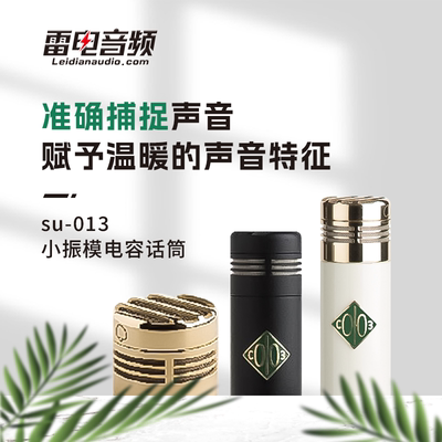 SOYUZ小振膜电容话筒歌手话筒