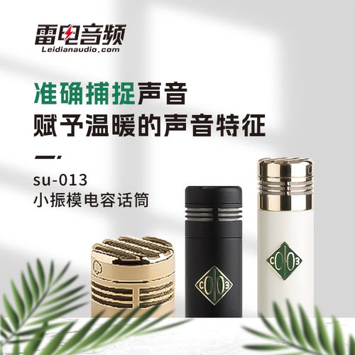 SOYUZ小振膜电容话筒歌手话筒
