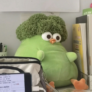 可爱搞怪菜花公仔抱枕西兰花墩墩鸡毛绒玩具偶送男女闺蜜生日礼物