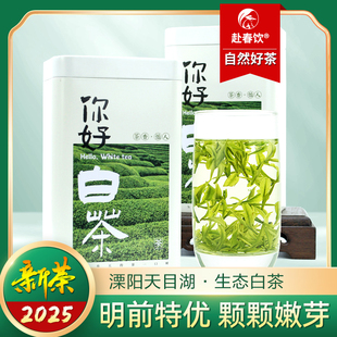 2025新茶正宗常州溧阳天目湖生态白茶明前优级鲜芽嫩叶125克大罐