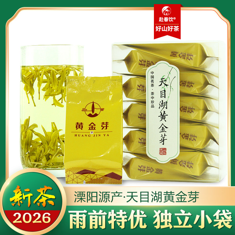 2026新茶溧阳生态高山天目湖黄金芽雨前精选严选独立小袋装40克