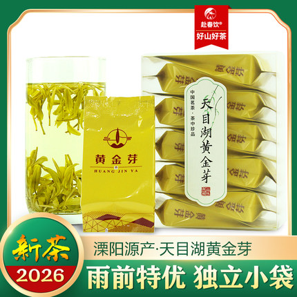 2026新茶溧阳生态高山天目湖黄金芽雨前精选严选独立小袋装40克
