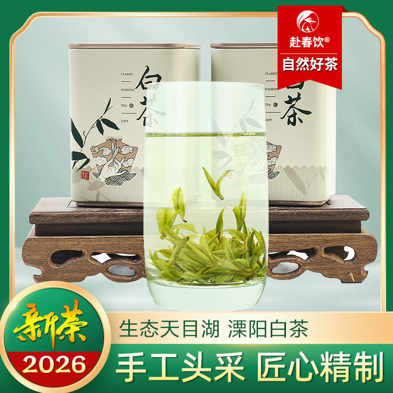 天目湖白茶开园头采匠心手制