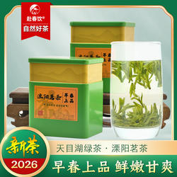2026新茶天目湖绿茶 早春明前优级 溧阳翠柏茶 寿眉南山 100G