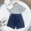 Gray + Navy Shorts