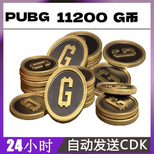 PUBGG币绝地求生11200G币金币吃鸡gb游戏币皮肤点卷官方充值兑换