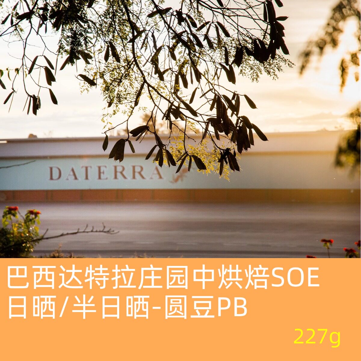 【巴西达特拉PB】麦美瑞Cafeofmemory意式浓缩咖啡豆低酸如蜜SOE