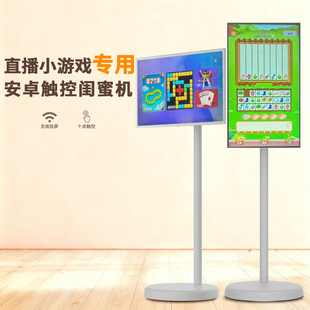 闪窈24寸安卓触控大平板直播机小游戏专用大屏随心屏智慧便携电视