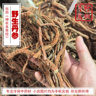 寻野实拍 中药材 野生丹参整根 四川中江发汗正宗野生紫肉丹参