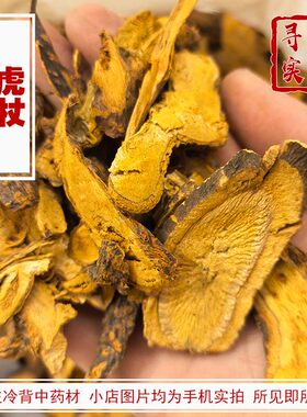 寻野实拍中药材虎杖