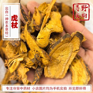寻野实拍 药材 虎杖 选片 大虫杖 苦杖 酸杖 杜牛膝 九股牛 四川