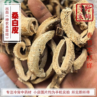 寻野实拍  中药材 桑白皮 刮去粗皮桑根皮桑根白皮 蜜桑白皮 四川