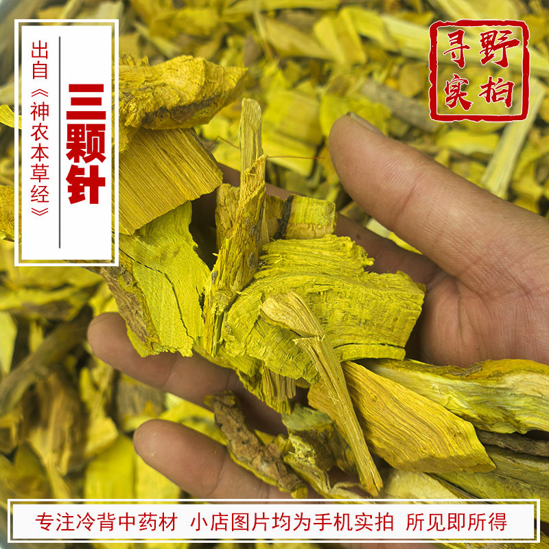 寻野实拍 中药材  三棵针 三颗针 根 钢针刺 刺黄连 刺黑珠 四川