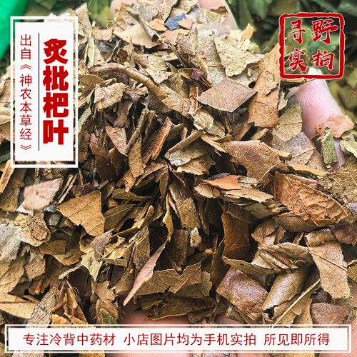 寻野实拍 中药材 炙枇杷叶 被棕黄色绒毛蜜炙枇杷叶枇杷花产四川