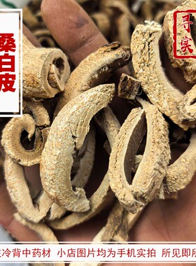 寻野实拍  中药材 桑白皮 刮去粗皮桑根皮桑根白皮 蜜桑白皮 四川