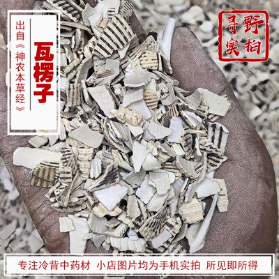 寻野实拍中药材瓦楞子