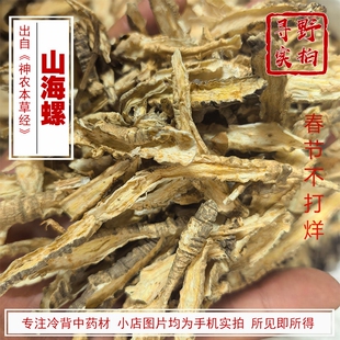 寻野实拍 药材 山海螺 羊乳根 四叶参白河车白蟒肉乳薯奶参牛奶参