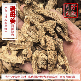 四川犍为三年真干姜母姜 倪师张至顺推荐 不懂先学习 经方终复兴