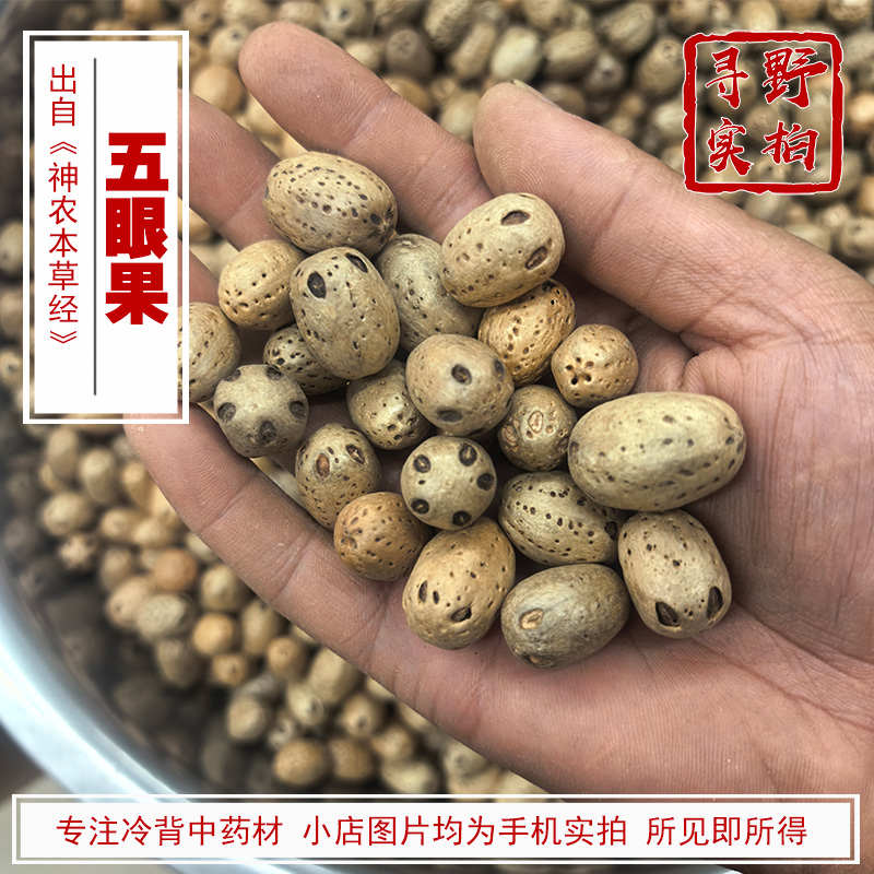 寻野实拍中药材五眼果