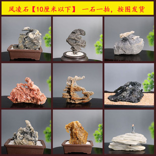 新疆戈壁石天然风凌石砺石太湖石 鱼缸石头造景石假山菖蒲盆景