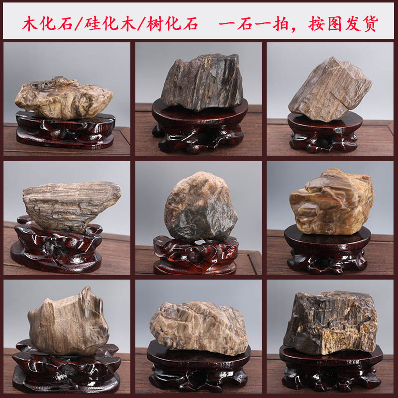 新疆纯天然木化石原石风凌石硅化木 树化玉树化石石头摆件手把件