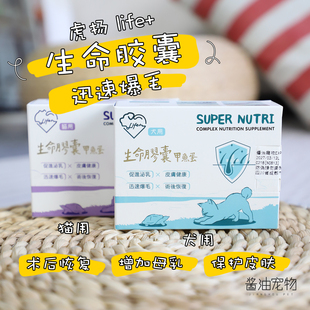 台湾虎扬Life 爆毛丹甲鱼蛋猫狗术后康复孕期营养品60粒 生命胶囊