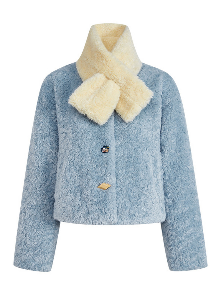 Blue fuzzy cropped coat with cream shearling collar and trim on white background