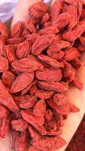 促销青海诺木洪枸杞子枸杞无硫熏颗粒大甜度高500克包邮