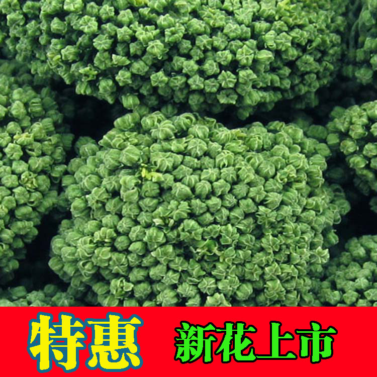 三七花云南文山500g37花精选大朵四年田七花颗粒非野生三年三七花