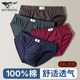 爸爸宽松大码 七匹狼男士 纯棉三角裤 头中老年人柔软型短裤 内裤 男款
