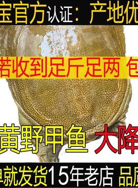 好甲鱼15年五皇冠老店产地优选