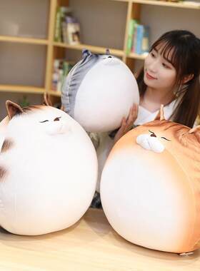 可爱萌宠小猫咪蛋蛋猫公仔玩偶毛绒玩具床上睡觉超软大抱枕布娃娃
