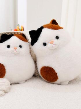 新品网红安抚猫球毛绒公仔可爱福气猫抱枕儿童陪伴玩偶家居装饰