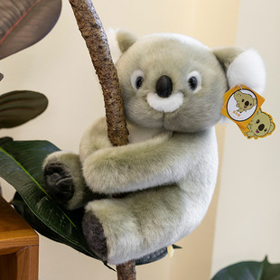 呆萌可爱小考拉玩偶毛茸茸布娃娃儿童礼物女孩子睡觉抱枕生日礼物