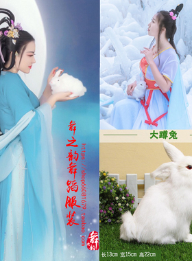 仿真田园风影楼动物拍摄嫦娥玉兔