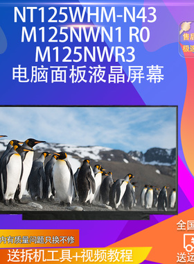 NT125WHM-N43 M125NWN1 R0 M125NWR3 电脑面板液晶屏幕